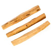 Potion Slinger Palo Santo Stick